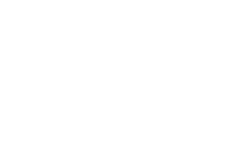 dyer.logo